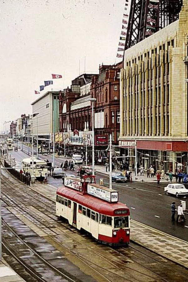 511314746_1227813342717005_2752351915605054446_n